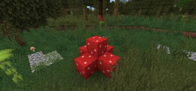Мод Природа в дикой среде на Minecraft PE [Версия мода: 26.3]
