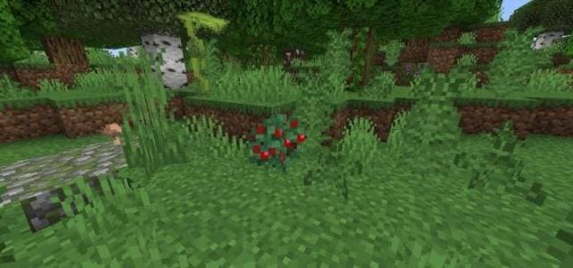Мод Природа в дикой среде на Minecraft PE [Версия мода: 26.3]
