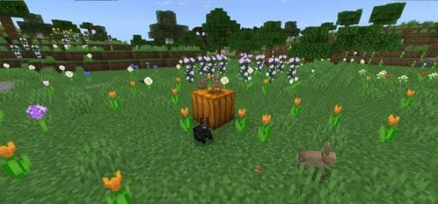Мод Природа в дикой среде на Minecraft PE [Версия мода: 26.3]