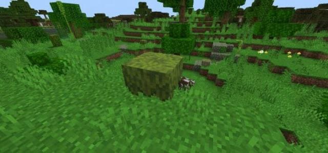 Мод Природа в дикой среде на Minecraft PE [Версия мода: 26.3]