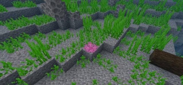 Мод Природа в дикой среде на Minecraft PE [Версия мода: 26.3]